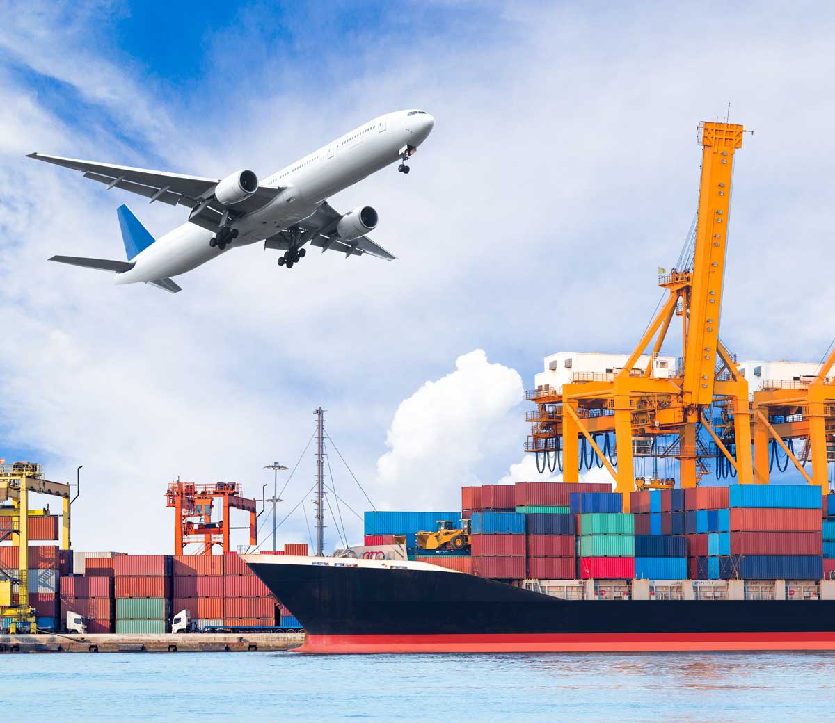 Sample Freight Cost 1 x 24 Pack (Exports Only) - WIAG Global